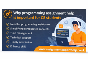 Why programming assignment help is important for CS students